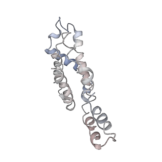 9976_6kgx_j7_v1-1
Structure of the phycobilisome from the red alga Porphyridium purpureum