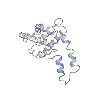 9976_6kgx_jA_v1-1
Structure of the phycobilisome from the red alga Porphyridium purpureum