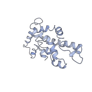 9976_6kgx_jB_v1-1
Structure of the phycobilisome from the red alga Porphyridium purpureum