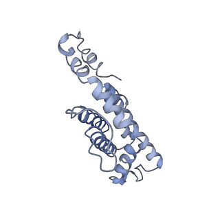 9976_6kgx_jE_v1-1
Structure of the phycobilisome from the red alga Porphyridium purpureum