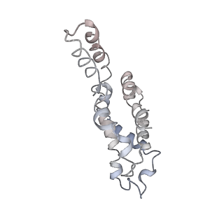 9976_6kgx_jF_v1-1
Structure of the phycobilisome from the red alga Porphyridium purpureum