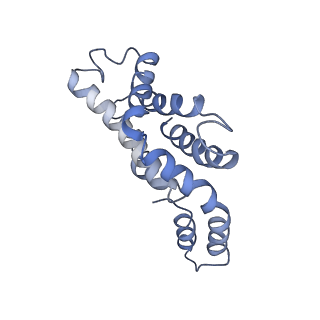 9976_6kgx_jI_v1-1
Structure of the phycobilisome from the red alga Porphyridium purpureum