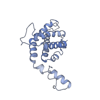 9976_6kgx_k2_v1-1
Structure of the phycobilisome from the red alga Porphyridium purpureum