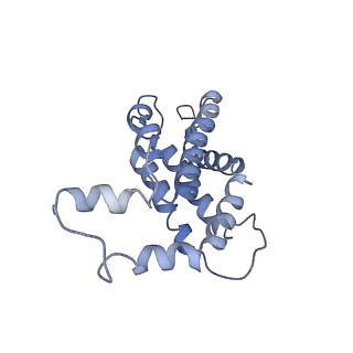 9976_6kgx_k6_v1-1
Structure of the phycobilisome from the red alga Porphyridium purpureum
