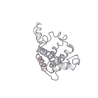 9976_6kgx_k7_v1-1
Structure of the phycobilisome from the red alga Porphyridium purpureum