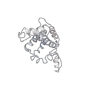 9976_6kgx_kF_v1-1
Structure of the phycobilisome from the red alga Porphyridium purpureum