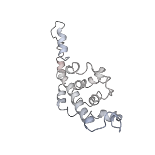 9976_6kgx_kG_v1-1
Structure of the phycobilisome from the red alga Porphyridium purpureum