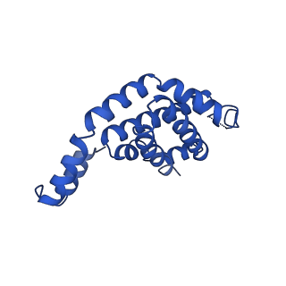 9976_6kgx_kH_v1-1
Structure of the phycobilisome from the red alga Porphyridium purpureum