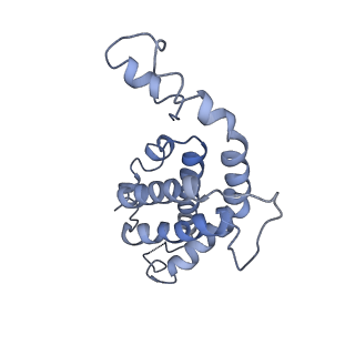 9976_6kgx_kI_v1-1
Structure of the phycobilisome from the red alga Porphyridium purpureum