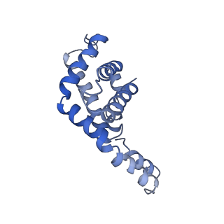 9976_6kgx_l2_v1-1
Structure of the phycobilisome from the red alga Porphyridium purpureum