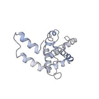 9976_6kgx_l6_v1-1
Structure of the phycobilisome from the red alga Porphyridium purpureum