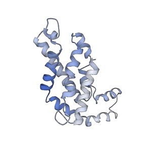 9976_6kgx_l8_v1-1
Structure of the phycobilisome from the red alga Porphyridium purpureum