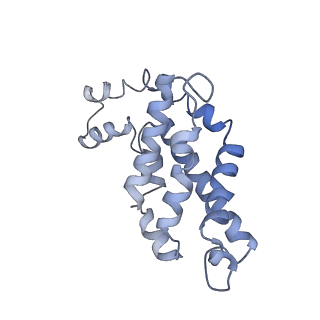 9976_6kgx_lA_v1-1
Structure of the phycobilisome from the red alga Porphyridium purpureum
