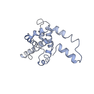 9976_6kgx_lB_v1-1
Structure of the phycobilisome from the red alga Porphyridium purpureum