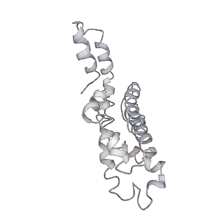 9976_6kgx_lE_v1-1
Structure of the phycobilisome from the red alga Porphyridium purpureum