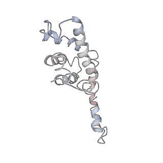 9976_6kgx_lF_v1-1
Structure of the phycobilisome from the red alga Porphyridium purpureum