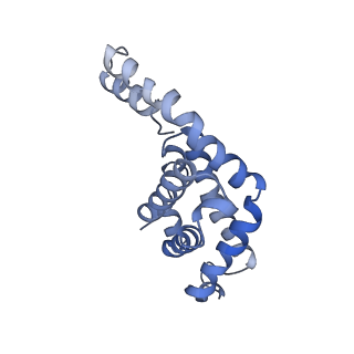 9976_6kgx_lI_v1-1
Structure of the phycobilisome from the red alga Porphyridium purpureum