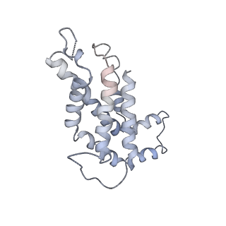 9976_6kgx_m6_v1-1
Structure of the phycobilisome from the red alga Porphyridium purpureum