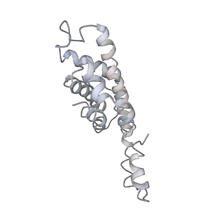 9976_6kgx_m7_v1-1
Structure of the phycobilisome from the red alga Porphyridium purpureum