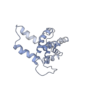 9976_6kgx_m8_v1-1
Structure of the phycobilisome from the red alga Porphyridium purpureum