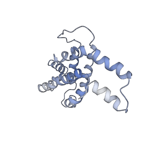 9976_6kgx_mA_v1-1
Structure of the phycobilisome from the red alga Porphyridium purpureum