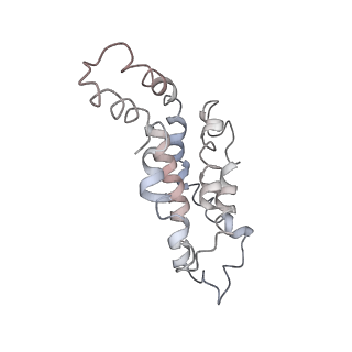 9976_6kgx_mE_v1-1
Structure of the phycobilisome from the red alga Porphyridium purpureum
