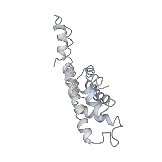 9976_6kgx_mF_v1-1
Structure of the phycobilisome from the red alga Porphyridium purpureum
