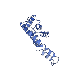 9976_6kgx_mI_v1-1
Structure of the phycobilisome from the red alga Porphyridium purpureum