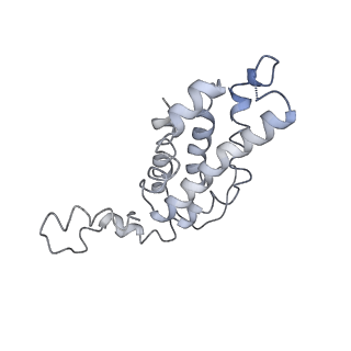 9976_6kgx_n1_v1-1
Structure of the phycobilisome from the red alga Porphyridium purpureum