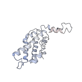9976_6kgx_n4_v1-1
Structure of the phycobilisome from the red alga Porphyridium purpureum