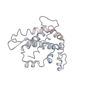 9976_6kgx_nE_v1-1
Structure of the phycobilisome from the red alga Porphyridium purpureum