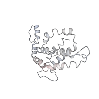 9976_6kgx_nG_v1-1
Structure of the phycobilisome from the red alga Porphyridium purpureum