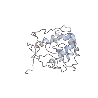 9976_6kgx_o1_v1-1
Structure of the phycobilisome from the red alga Porphyridium purpureum