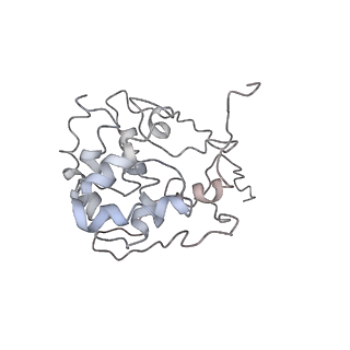9976_6kgx_o4_v1-1
Structure of the phycobilisome from the red alga Porphyridium purpureum