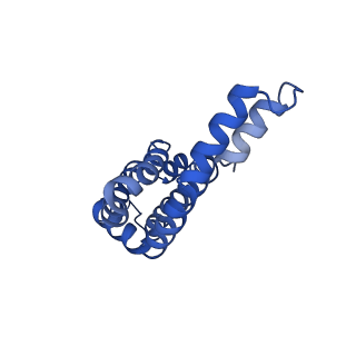 9976_6kgx_oH_v1-1
Structure of the phycobilisome from the red alga Porphyridium purpureum