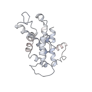 9976_6kgx_pE_v1-1
Structure of the phycobilisome from the red alga Porphyridium purpureum