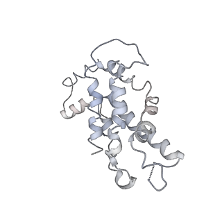 9976_6kgx_pG_v1-1
Structure of the phycobilisome from the red alga Porphyridium purpureum