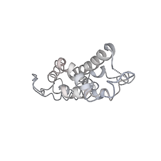 9976_6kgx_q4_v1-1
Structure of the phycobilisome from the red alga Porphyridium purpureum