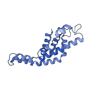 9976_6kgx_qH_v1-1
Structure of the phycobilisome from the red alga Porphyridium purpureum