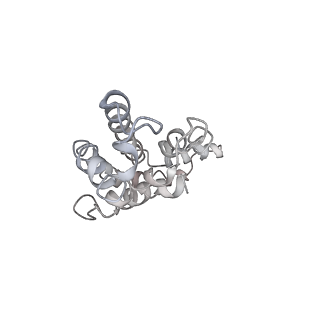 9976_6kgx_r4_v1-1
Structure of the phycobilisome from the red alga Porphyridium purpureum