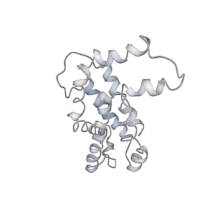 9976_6kgx_rG_v1-1
Structure of the phycobilisome from the red alga Porphyridium purpureum