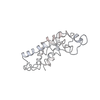 9976_6kgx_s1_v1-1
Structure of the phycobilisome from the red alga Porphyridium purpureum