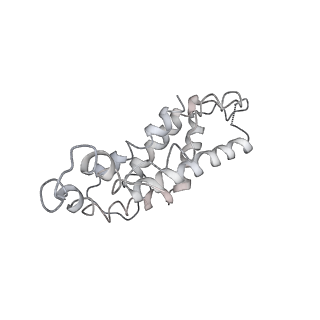 9976_6kgx_s4_v1-1
Structure of the phycobilisome from the red alga Porphyridium purpureum