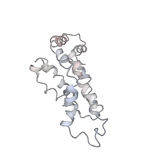 9976_6kgx_sE_v1-1
Structure of the phycobilisome from the red alga Porphyridium purpureum