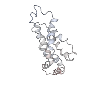 9976_6kgx_sG_v1-1
Structure of the phycobilisome from the red alga Porphyridium purpureum