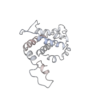 9976_6kgx_tE_v1-1
Structure of the phycobilisome from the red alga Porphyridium purpureum