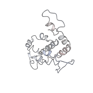 9976_6kgx_tG_v1-1
Structure of the phycobilisome from the red alga Porphyridium purpureum