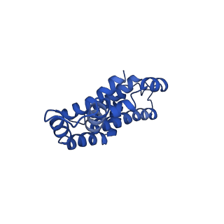 9976_6kgx_tH_v1-1
Structure of the phycobilisome from the red alga Porphyridium purpureum