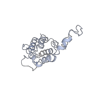 9976_6kgx_u1_v1-1
Structure of the phycobilisome from the red alga Porphyridium purpureum