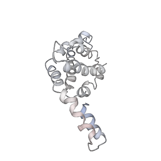 9976_6kgx_uE_v1-1
Structure of the phycobilisome from the red alga Porphyridium purpureum